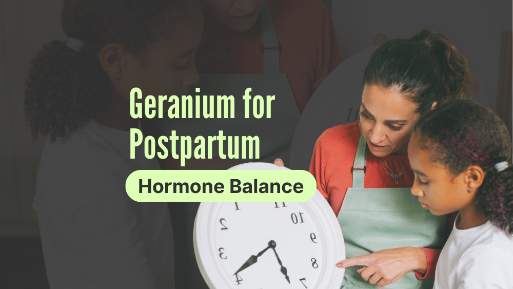 Geranium Oil: Postpartum Hormone Balancer for Estrogen and Progesterone