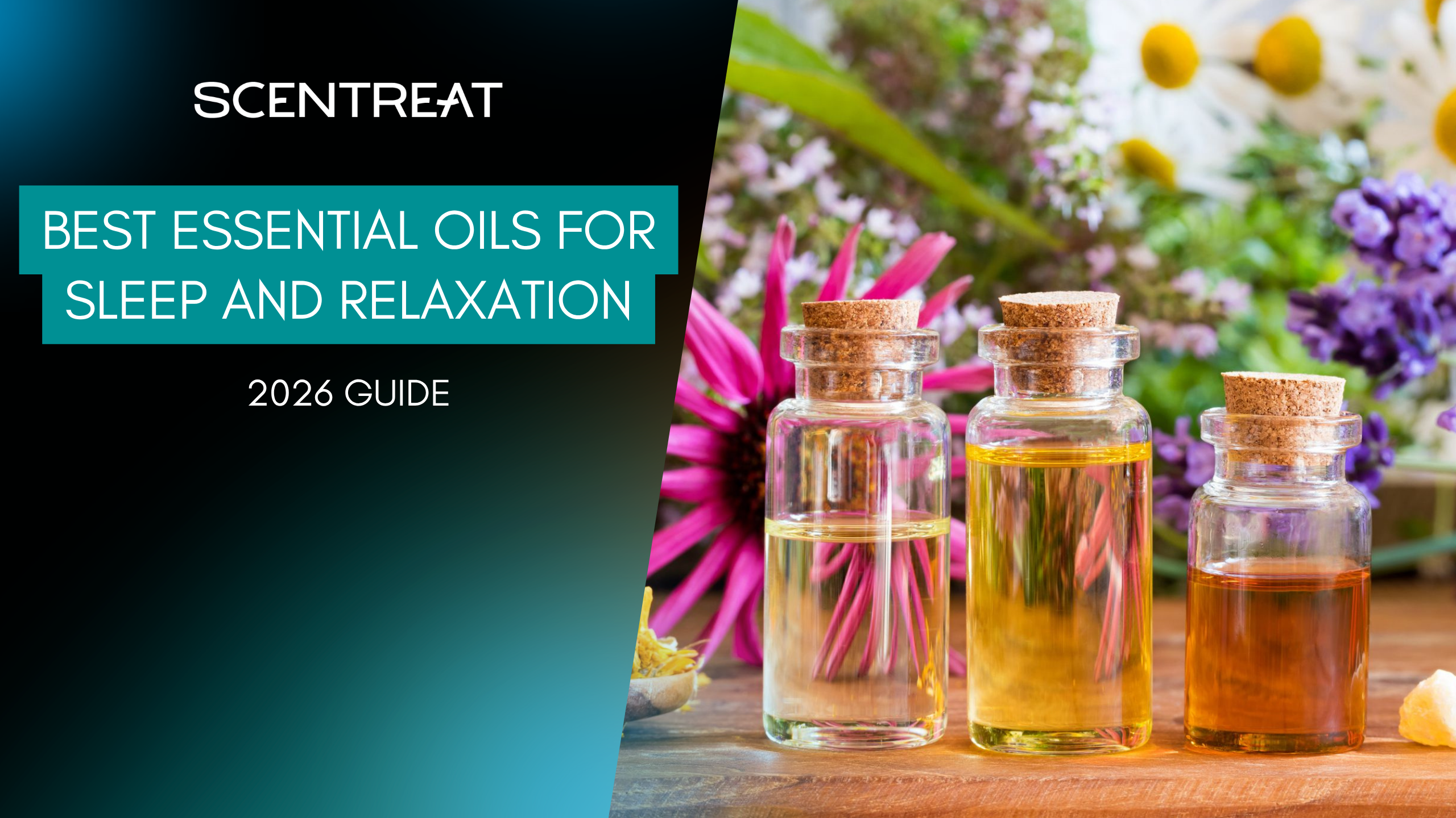 scentreat-best-essential-oils-for-sleep-and-relaxation-1