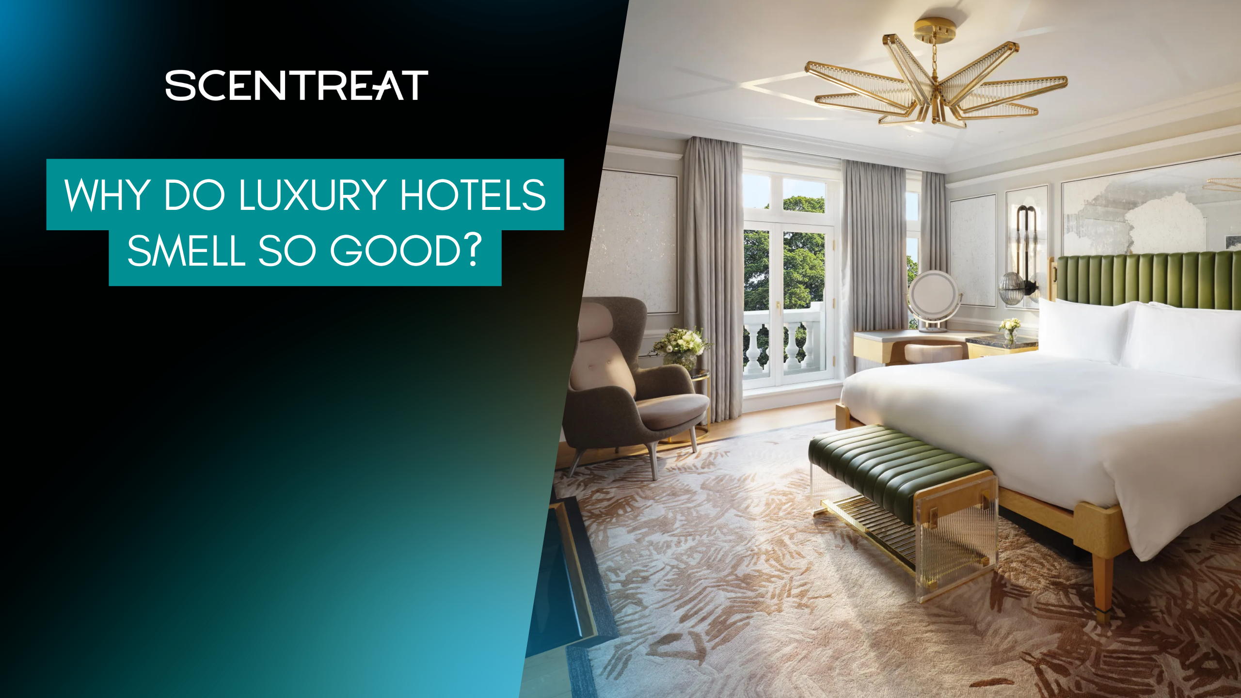 scentreat-why-do-luxury-hotels-smell-so-good-1