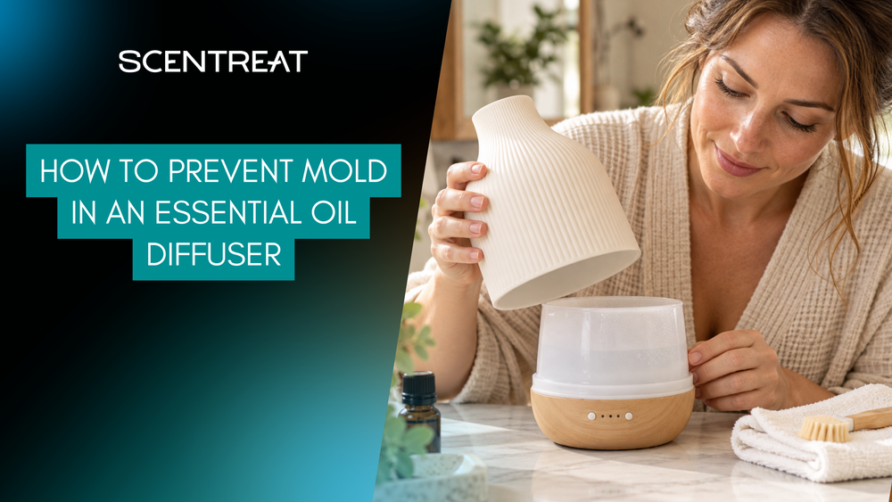 How to Prevent Mold in an Essential Oil Diffuser