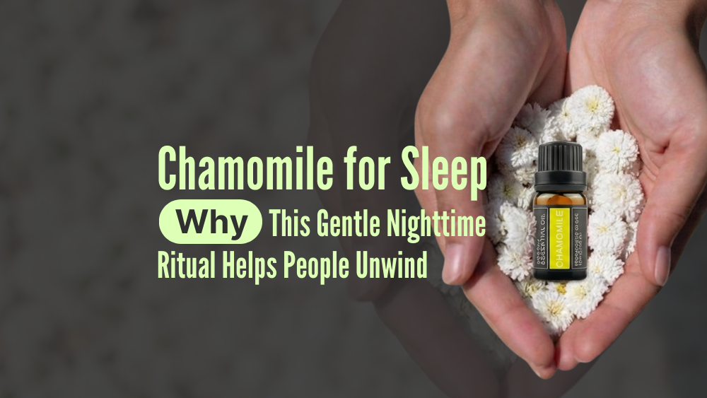 scentreat-chamomile-and-sleep-why-it-s-used-for-nighttime-relaxation-1