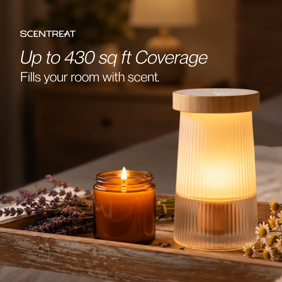 Night Light Diffuser