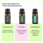 Wellness-Inspired Oils – Pure Aromatherapy 10-Pack