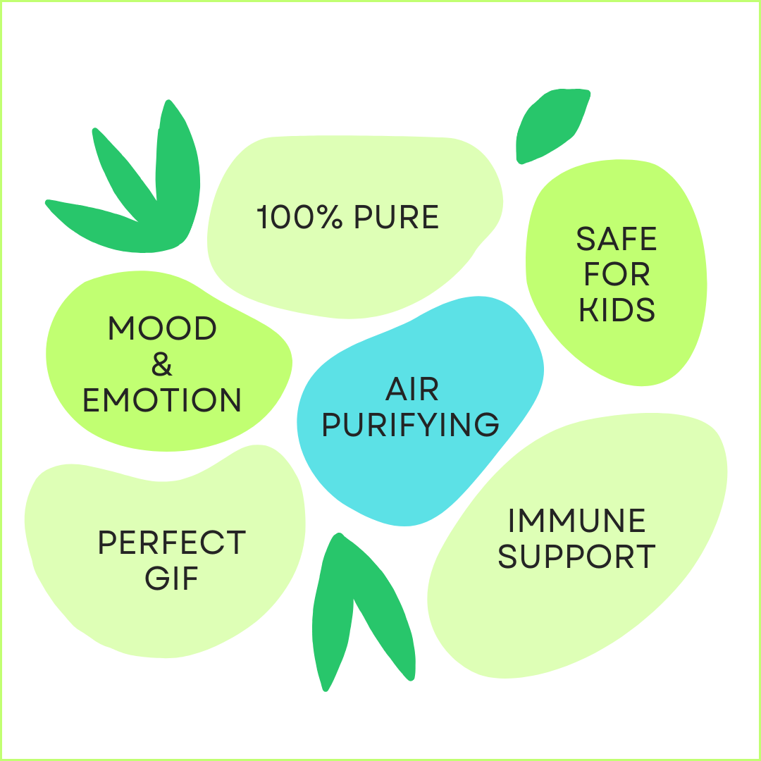 Wellness-Inspired Oils – Pure Aromatherapy 10-Pack