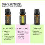 Mom Wellness & Hormone Balance Oils – Pure Aromatherapy 6-Pack