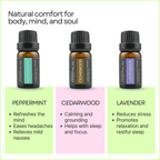 Mom Wellness & Hormone Balance Oils – Pure Aromatherapy 6-Pack