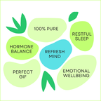 Mom Wellness & Hormone Balance Oils – Pure Aromatherapy 6-Pack