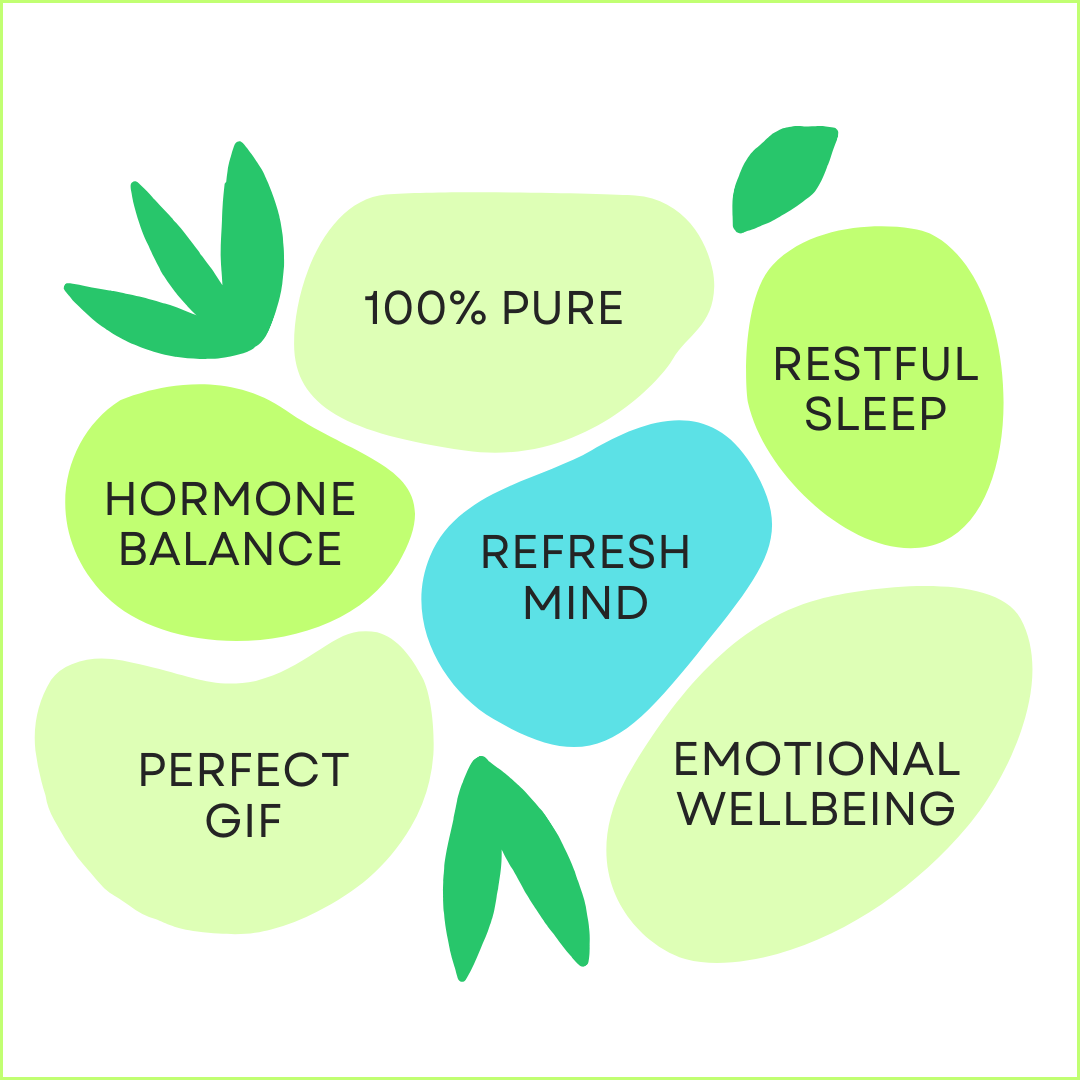 Mom Wellness & Hormone Balance Oils – Pure Aromatherapy 6-Pack