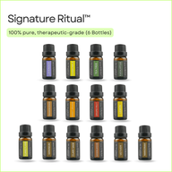 Signature Ritual essential oil set (14 oils) by Scentreat
