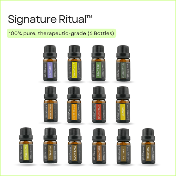 Signature Ritual essential oil set (14 oils) by Scentreat