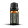 Eucalyptus Essential Oil - 100% Pure