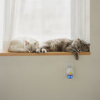 Two cats dozing on a windowsill above a plugged-in multi-cat calming diffuser