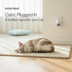 Cat calming diffuser plugged in near a sleeping cat: calm, plugged in