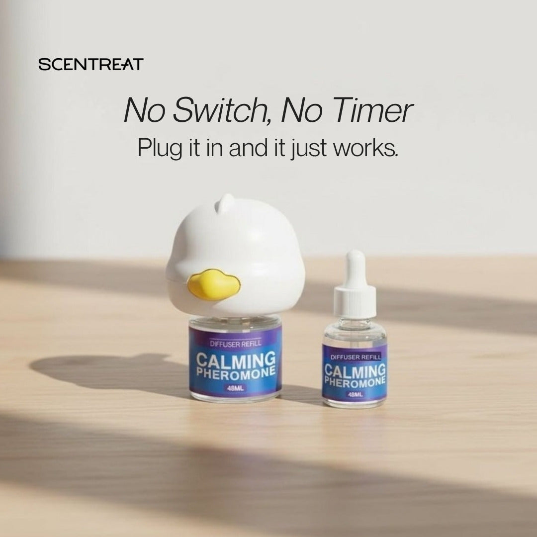 Pet calming diffuser with no switch and no timer, shown with a 48 ml vial