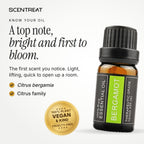 Bergamot essential oil (Citrus bergamia), a top note