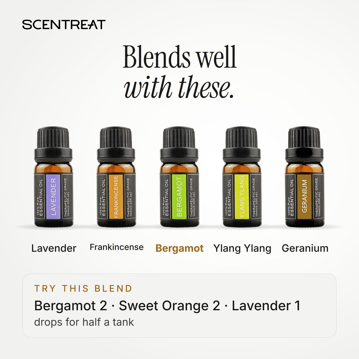 Bergamot essential oil blends well with Lavender, Frankincense, Ylang Ylang