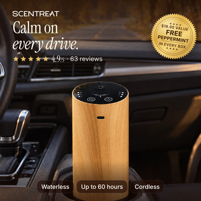 CalmRide car diffuser in a car cup holder, waterless and cordless