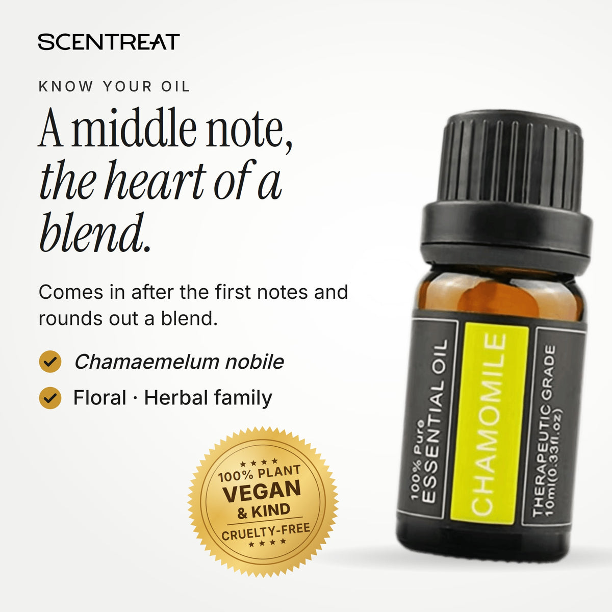 Chamomile essential oil (Chamaemelum nobile), a middle note