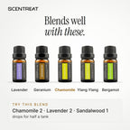 Chamomile essential oil blends well with Lavender, Geranium, Ylang Ylang