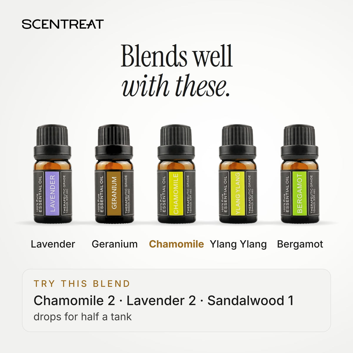 Chamomile essential oil blends well with Lavender, Geranium, Ylang Ylang