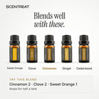 Cinnamon essential oil blends well with Sweet Orange, Clove, Ginger