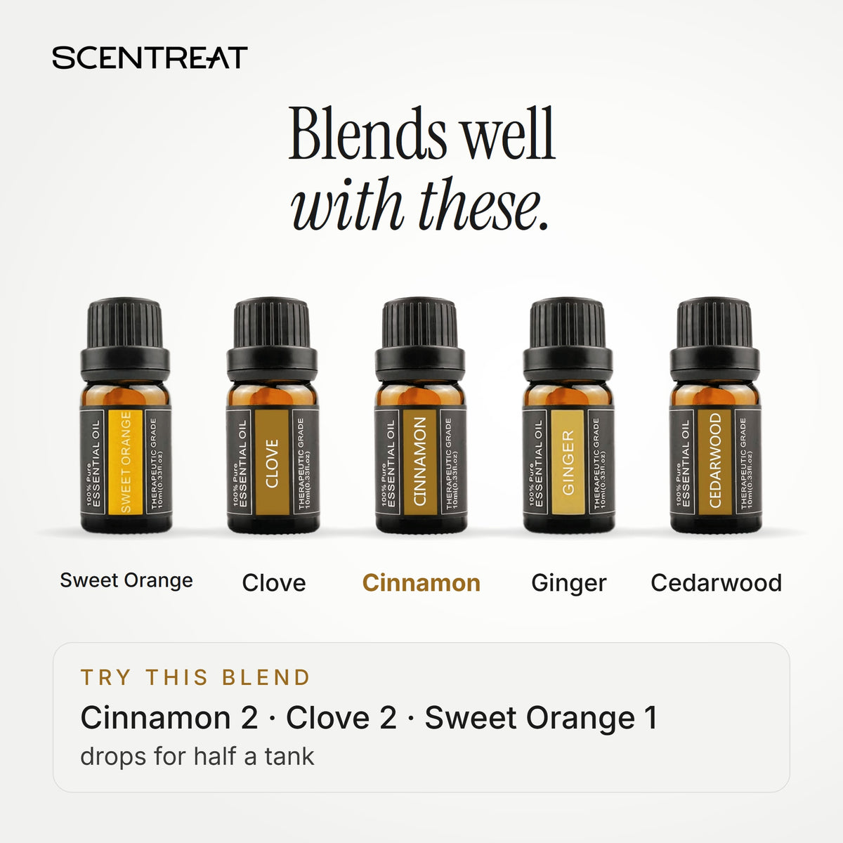 Cinnamon essential oil blends well with Sweet Orange, Clove, Ginger