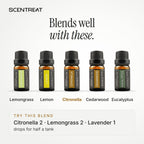 Citronella essential oil blends well with Lemongrass, Lemon, Cedarwood