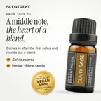 Clary Sage essential oil (Salvia sclarea), a middle note