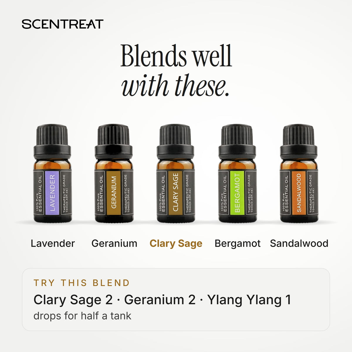 Clary Sage essential oil blends well with Lavender, Geranium, Bergamot