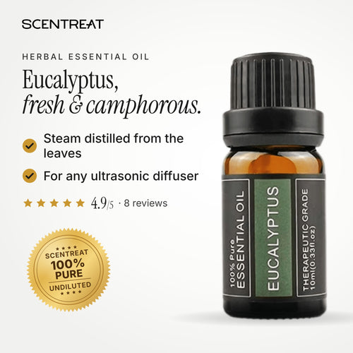 100% pure eucalyptus essential oil, fresh, camphorous, sharp