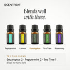 Eucalyptus essential oil blends well with Peppermint, Lemon, Tea Tree