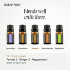Fennel essential oil blends well with Lavender, Geranium, Sandalwood