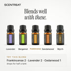 Frankincense essential oil blends well with Lavender, Bergamot, Sandalwood