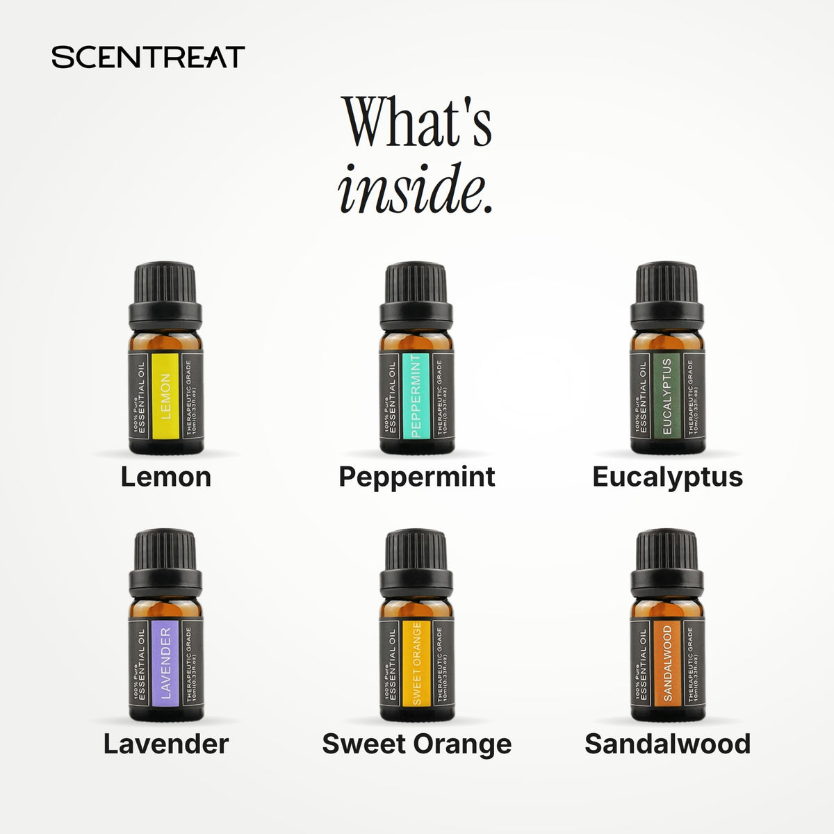 What's inside the Fresh Start Ritual kit: Lemon, Peppermint, Eucalyptus, Lavender, Sweet Orange, Sandalwood