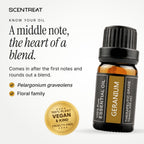Geranium essential oil (Pelargonium graveolens), a middle note