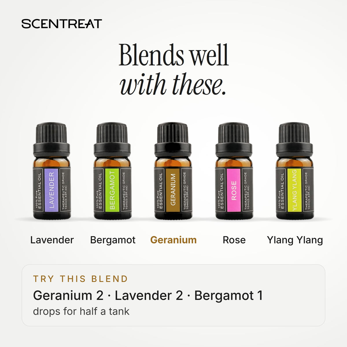 Geranium essential oil blends well with Lavender, Bergamot, Rose
