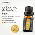 Ginger essential oil (Zingiber officinale), a middle note