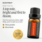 Grapefruit essential oil (Citrus paradisi), a top note