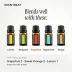 Grapefruit essential oil blends well with Lemon, Bergamot, Peppermint