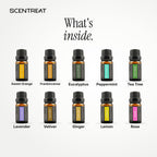 What's inside the Inner Balance Ritual kit: Sweet Orange, Frankincense, Eucalyptus, Peppermint, Tea Tree, Lavender, Vetiver, Ginger, Lemon, Rose