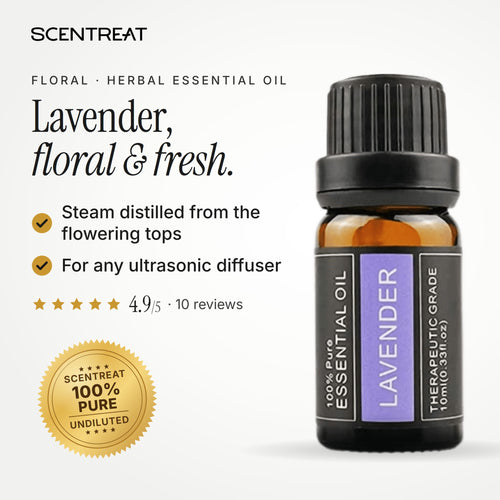 100% pure lavender essential oil, floral, fresh, herbaceous