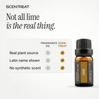 Pure lime essential oil vs synthetic fragrance oil