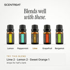 Lime essential oil blends well with Lemon, Peppermint, Grapefruit