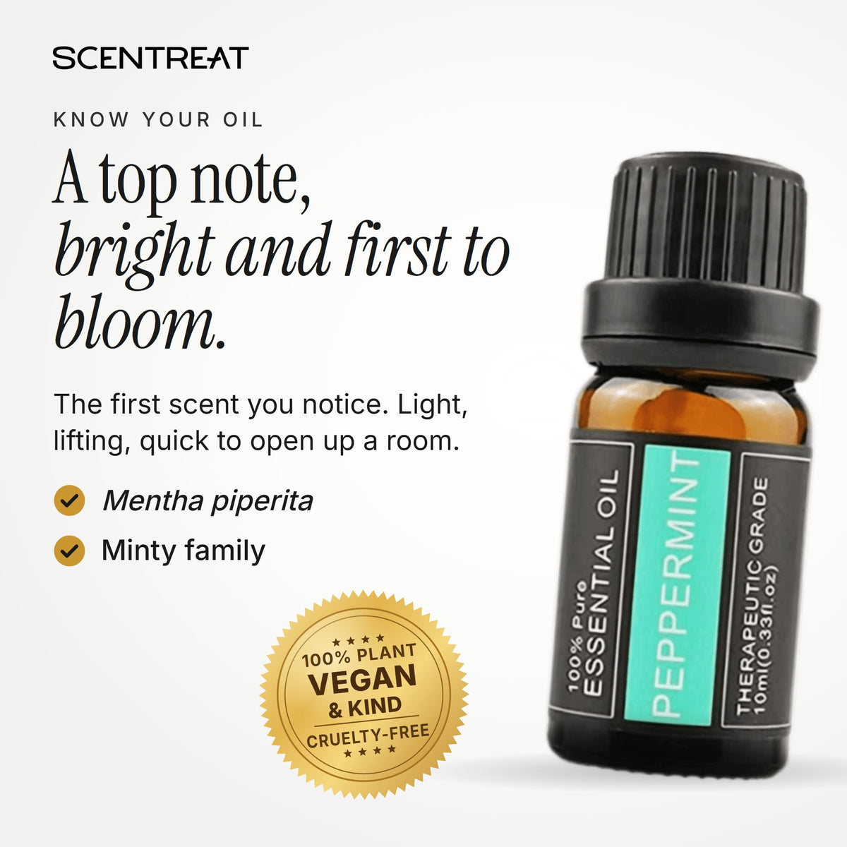 Peppermint essential oil (Mentha piperita), a top note