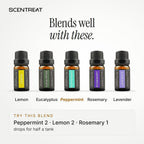 Peppermint essential oil blends well with Lemon, Eucalyptus, Rosemary