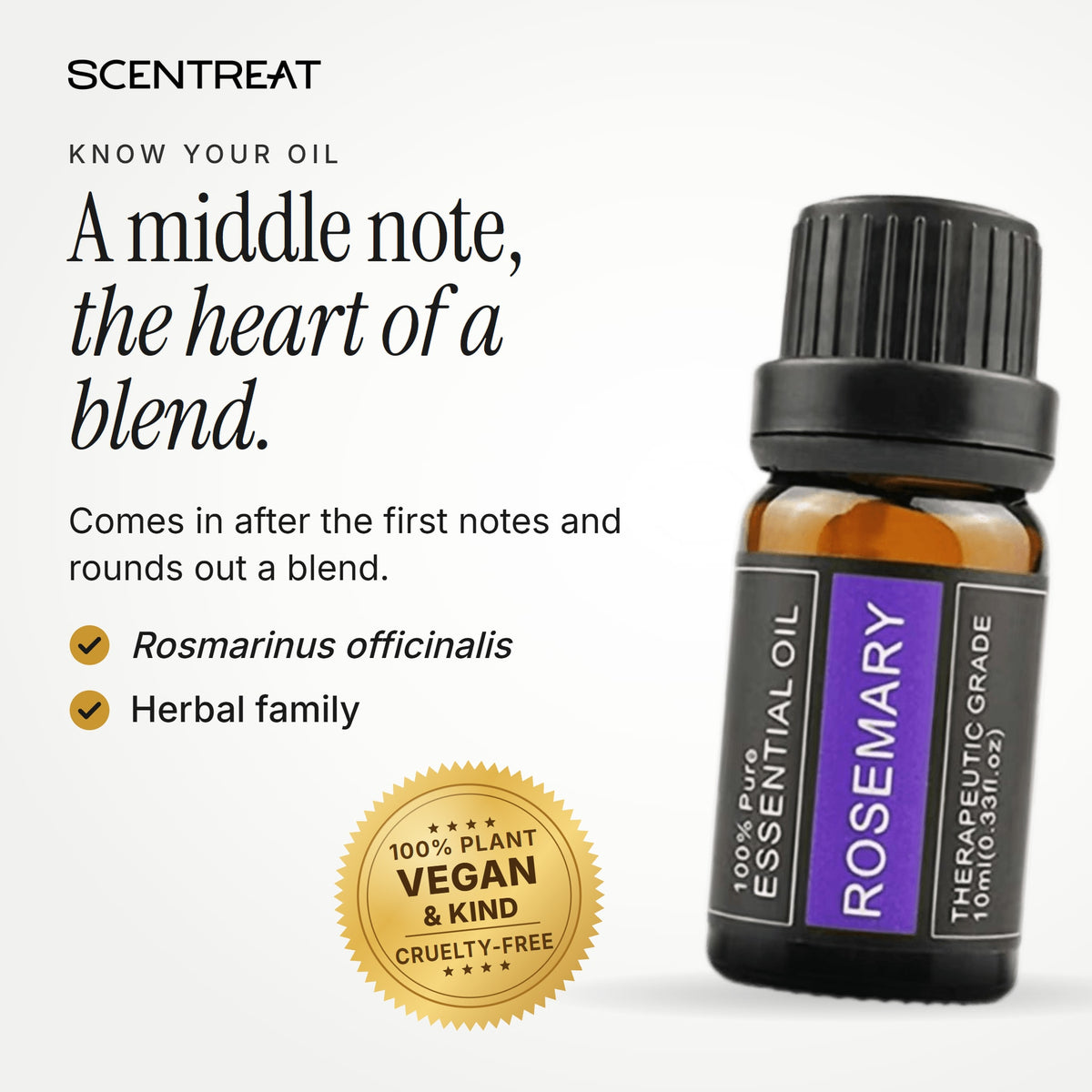 Rosemary essential oil (Rosmarinus officinalis), a middle note