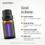 Rosemary essential oil storage and safe use