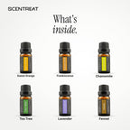 What's inside the Soft Wind-Down Ritual kit: Sweet Orange, Frankincense, Chamomile, Tea Tree, Lavender, Fennel