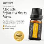 Sweet Orange essential oil (Citrus sinensis), a top note