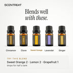 Sweet Orange essential oil blends well with Cinnamon, Clove, Lavender